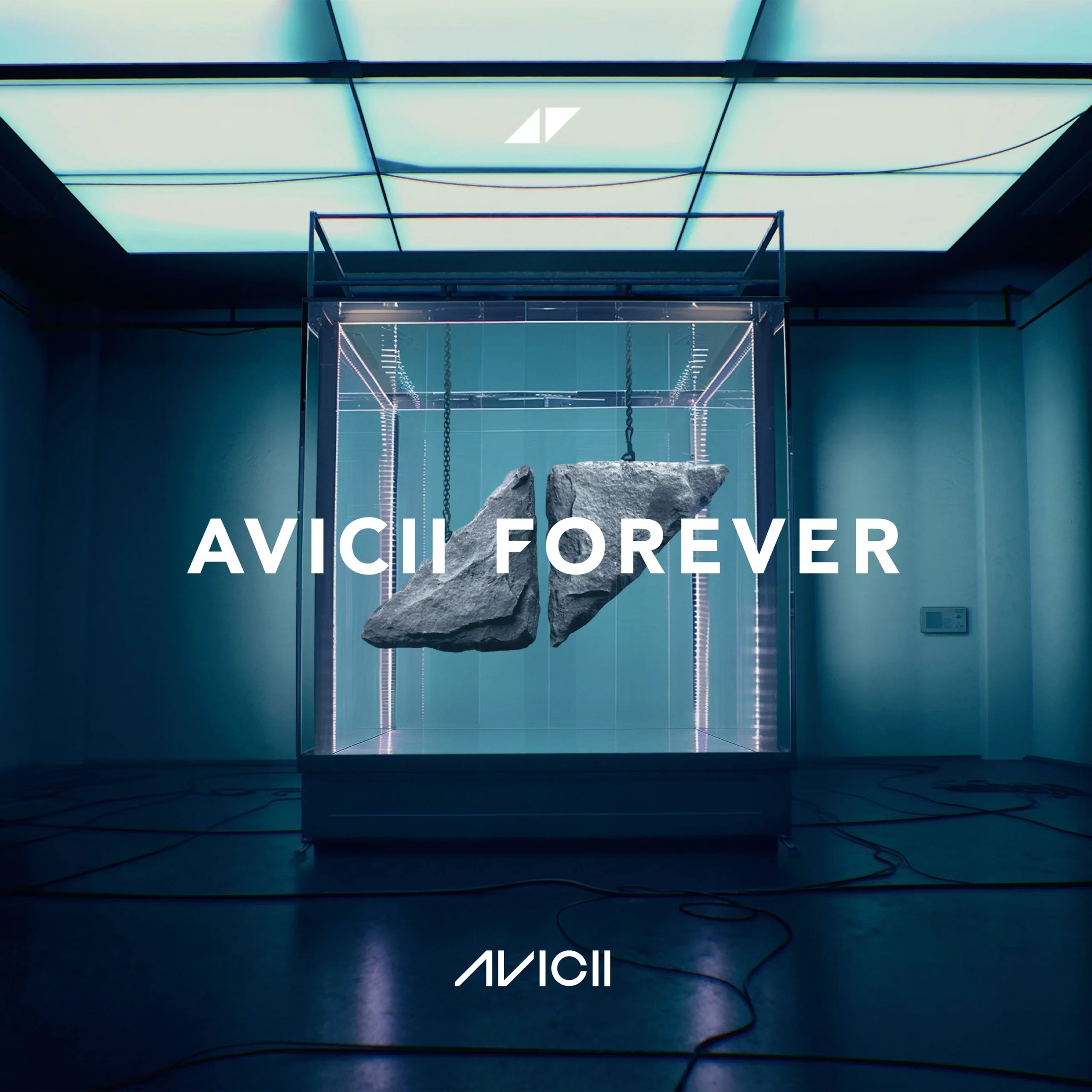 Avicii's Posthumous Album ‘Forever’